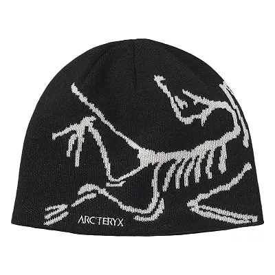 Arcteryx Beanie