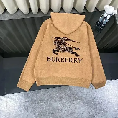 Burberry Hoodie