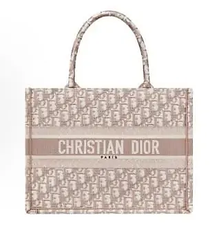 Dior Book Tote