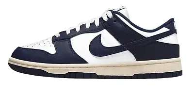 Dunk SB Black Powder Shoes