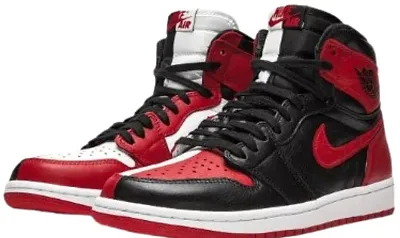 Jordan 1 Homage to Home