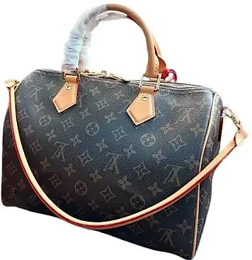 LV Speedy Traveling Bag